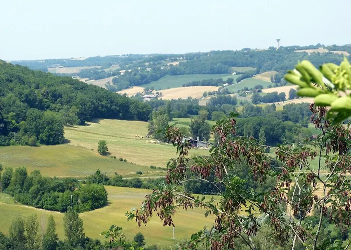 Les Clairieres - Piscine, Climatisation